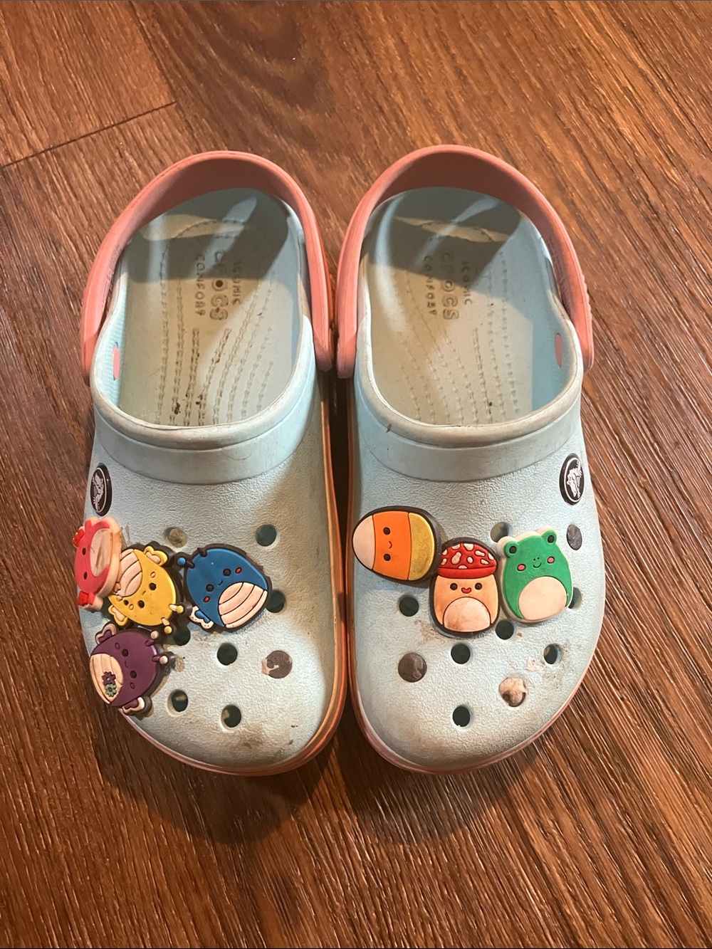 CROCS light blue clogs with pink trim and character charms